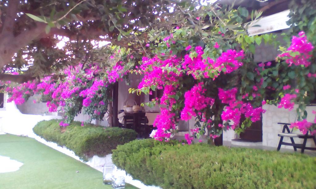 Hidden Heaven Βίλα Mykonos Town Εξωτερικό φωτογραφία